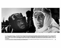 Lawrence of Arabia - 8 x 10 B&W Photo #6
