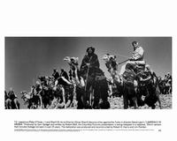 Lawrence of Arabia - 8 x 10 B&W Photo #8