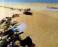 Lawrence of Arabia - 8 x 10 Color Photo #3