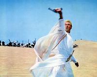 Lawrence of Arabia - 8 x 10 Color Photo #4