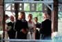 Legends of the Fall - 8 x 10 Color Photo #5
