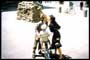 Life Is Beautiful - 8 x 10 Color Photo #2