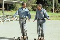 Life - 8 x 10 Color Photo #5