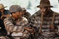 Life - 8 x 10 Color Photo #7