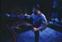 Lionheart - 8 x 10 Color Photo #3