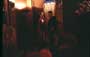 Lionheart - 8 x 10 Color Photo #11