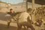 Lionheart - 8 x 10 Color Photo #27