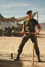 Lionheart - 8 x 10 Color Photo #28