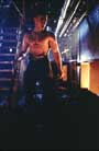 Lionheart - 8 x 10 Color Photo #31