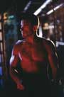 Lionheart - 8 x 10 Color Photo #32