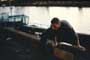 Lionheart - 8 x 10 Color Photo #36