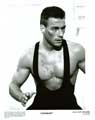 Lionheart - 8 x 10 B&W Photo #2
