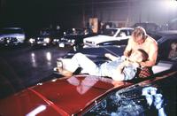 Lionheart - 8 x 10 Color Photo #6