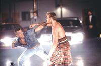 Lionheart - 8 x 10 Color Photo #10