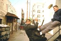 Lionheart - 8 x 10 Color Photo #18