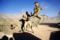 Lionheart - 8 x 10 Color Photo #22