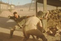 Lionheart - 8 x 10 Color Photo #27
