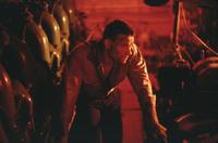 Lionheart - 8 x 10 Color Photo #29