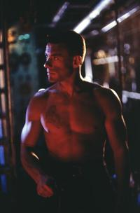 Lionheart - 8 x 10 Color Photo #32