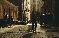 Lionheart - 8 x 10 Color Photo #34
