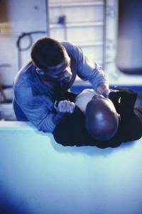 Lionheart - 8 x 10 Color Photo #35