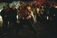 Lionheart - 8 x 10 Color Photo #39