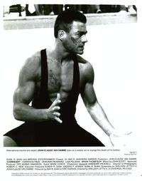 Lionheart - 8 x 10 B&W Photo #3