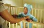 Little Man - 8 x 10 Color Photo #8
