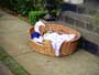 Little Man - 8 x 10 Color Photo #9