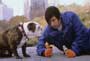 Little Nicky - 8 x 10 Color Photo #4