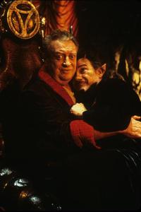 Little Nicky - 8 x 10 Color Photo #3