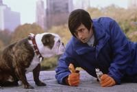 Little Nicky - 8 x 10 Color Photo #4