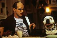 Little Nicky - 8 x 10 Color Photo #11