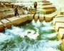 Logan's Run - 8 x 10 Color Photo #6