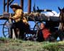 Lonesome Dove (TV) - 8 x 10 Color Photo #009
