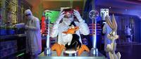 Looney Tunes: Back in Action - 8 x 10 Color Photo #31