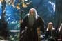 Lord of the Rings Trilogy - 8 x 10 Color Photo #4