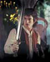 Lord of the Rings Trilogy - 8 x 10 Color Photo #10