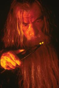 Lord of the Rings Trilogy - 8 x 10 Color Photo #8
