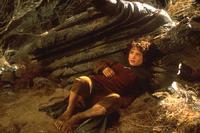 Lord of the Rings Trilogy - 8 x 10 Color Photo #9