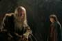 Lord of the Rings 1: The Fellowship of the Ring - 8 x 10 Color Photo #13
