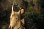 Lord of the Rings 1: The Fellowship of the Ring - 8 x 10 Color Photo #15