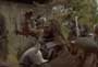 Lord of the Rings 1: The Fellowship of the Ring - 8 x 10 Color Photo #27