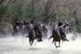 Lord of the Rings 1: The Fellowship of the Ring - 8 x 10 Color Photo #29