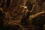 Lord of the Rings 1: The Fellowship of the Ring - 8 x 10 Color Photo #49