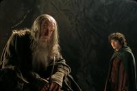 Lord of the Rings 1: The Fellowship of the Ring - 8 x 10 Color Photo #13