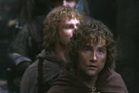 Lord of the Rings 1: The Fellowship of the Ring - 8 x 10 Color Photo #14