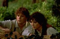 Lord of the Rings 1: The Fellowship of the Ring - 8 x 10 Color Photo #19