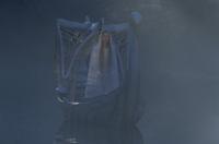 Lord of the Rings 1: The Fellowship of the Ring - 8 x 10 Color Photo #26