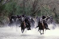 Lord of the Rings 1: The Fellowship of the Ring - 8 x 10 Color Photo #29